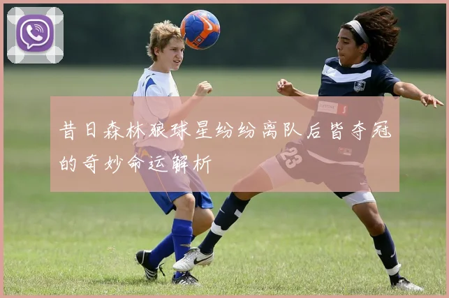 昔日森林狼球星纷纷离队后皆夺冠的奇妙命运解析